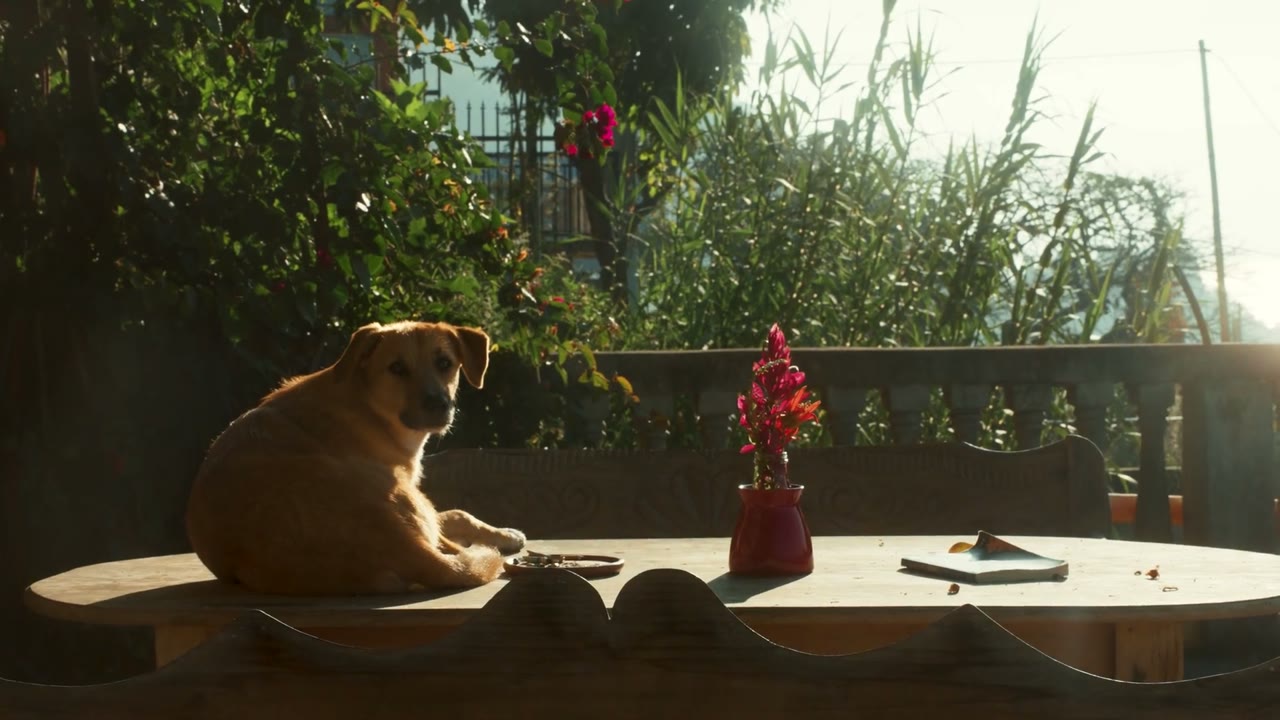 ELOA brand film at Lake Atitlán