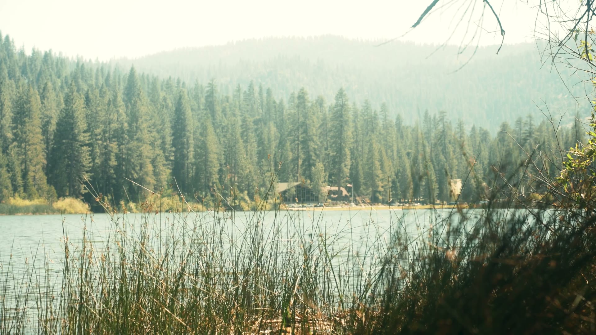 Sequoia travel film