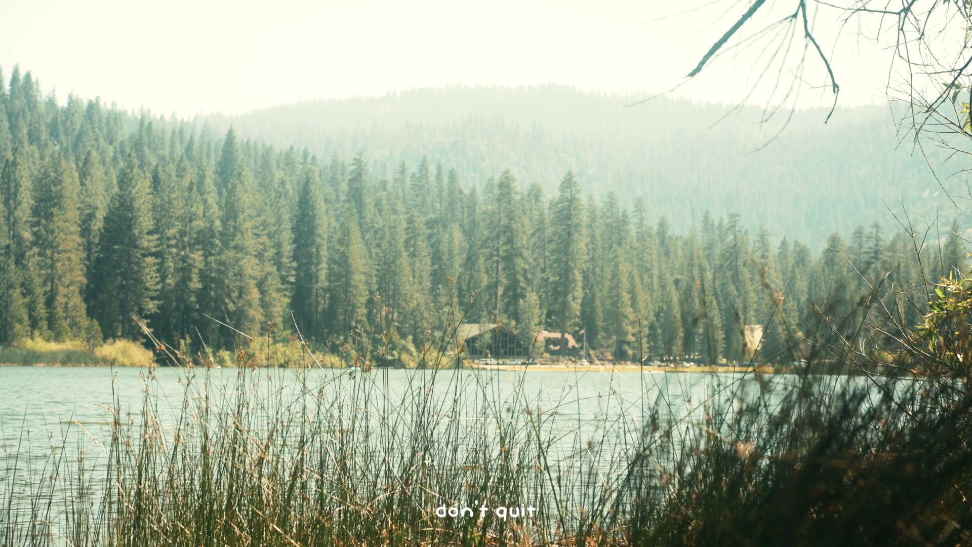 Sequoia reel