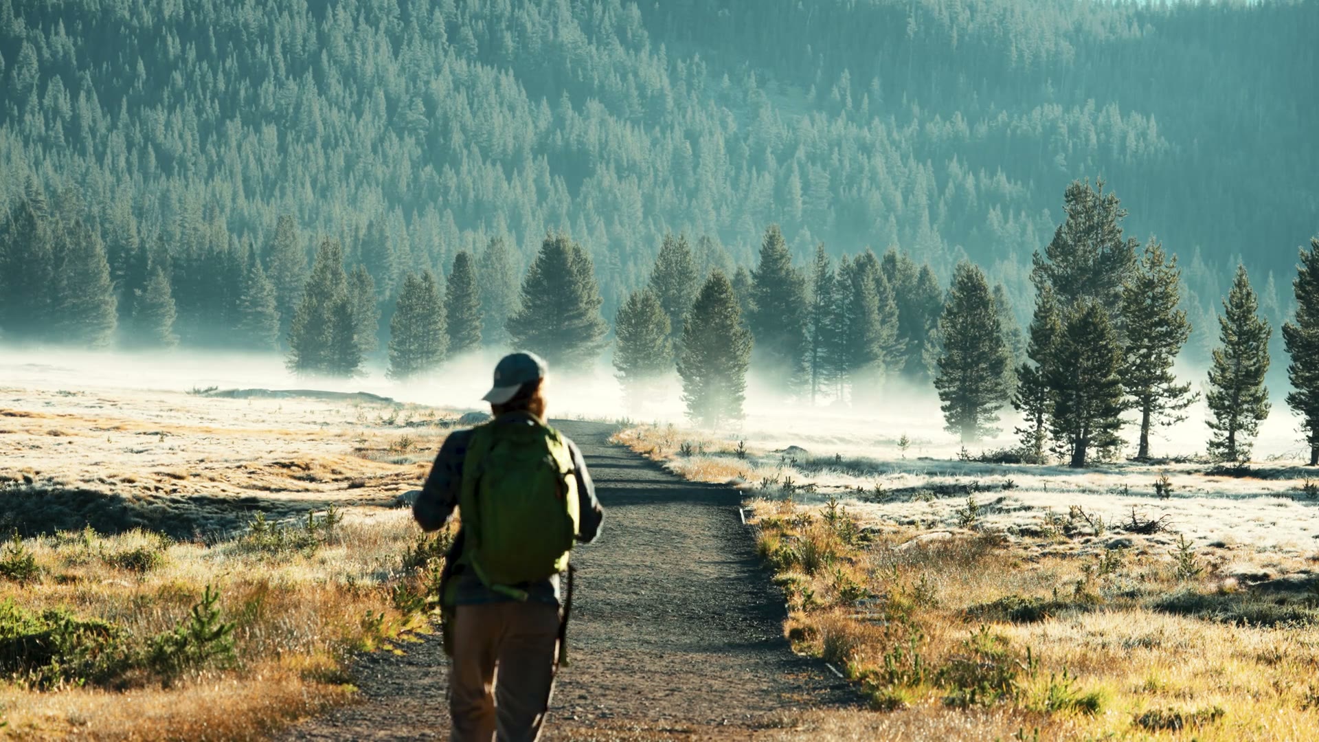 Yosemite travel film